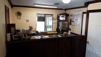 Budget Inn Edinburg Zewnętrze zdjęcie
